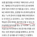 머니트레이닝랩 이미지