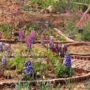 난다펜션 이미지