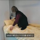 테라스룸 이미지