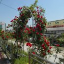 한창농장 이미지