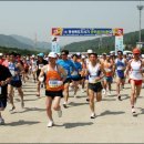 영천시청 이미지