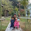 요한농장 이미지