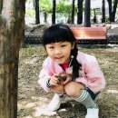 창의나라 유치원 이미지