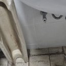 준시스템 | 수도꼭지교체 누수 문제를 해결해 준 오케이시스템 후기