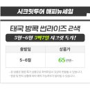 썬라이즈 이미지