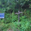 돌고개로 이미지