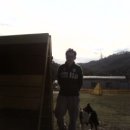 한국애견대학 이미지