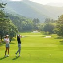 휘닉스 대중골프장 이미지