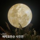 김천중학교입구_전신주상단_#1 | 부산 전시회 :: 에릭요한슨 사진전 | 부산문화회관 전시 추석연휴 가볼만한곳
