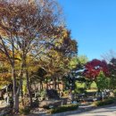 단양팔경(부산) 이미지