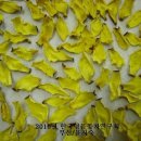 경해냉장 이미지