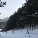 감악산 캠핑숲 이미지