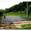 호제농장 이미지