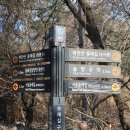 유림-1133 이미지