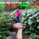 해남군-06 이미지