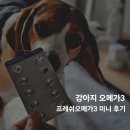 프레시독 | 강아지오메가3 고민 반려다움X바프독 프레쉬오메가3 미니 급여 후기