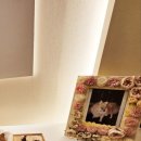 백꽃사랑하이빛 이미지