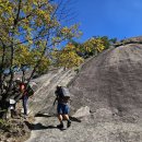 불암산 건강 힐링산행(11월9일 토요일) 이미지