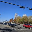 선유중학교 앞 횡단보도 이미지