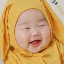담따필름