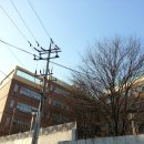 양진병설유치원 이미지