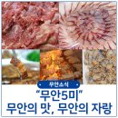 무안-5 이미지
