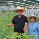 김영구농장 이미지