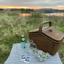 스테이동백 이미지