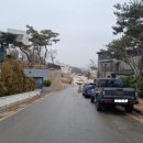 지산농장2 Daum카페