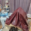 중앙시장로12번길 | 평택바디관리 꽃다비스킨케어 에너지테라피 등관리 후기 – 몸이 풀리고 피부까지 달라졌어요💆‍♀️