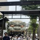 [일본여행#2] 도톤보리치보/우메다헵파이브(전철표뽑는법)/신세카이쿠시카츠/메가돈키호테/로손세일