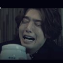 펫바라기