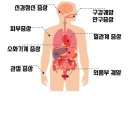 하나내과의원 이미지