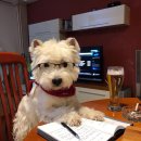 맞춤형 화장품 조제관리사 자격증 이미지