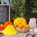 나주농장 이미지