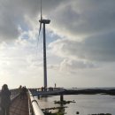 제주리움 이미지