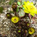 송백1리 이미지