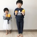 리태 이미지