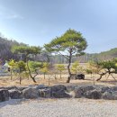 명성민박펜션 이미지