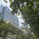 신천차이나 | [상하이] 점도덕 신천지점 뿌신 후기 + 고덕지도, 추천 메뉴