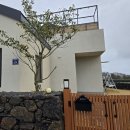 애월숲에101 이미지