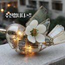 SUN세차장 이미지