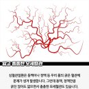 봄코리아(BOM KOREA)