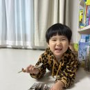 스텐도윤