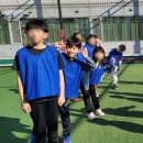 합기도 심무도관 이미지