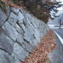 이른아침민박 이미지