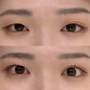백약국 | 안양 범계 눈매맞춤 속눈썹펌 전문 하인드뷰티랩 무쌍눈 펌 후기 (소요시간, 관리 방법)