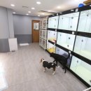 멍멍친구 애견샵 이미지