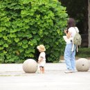 쉼터사슴 이미지