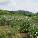 성천농장 이미지